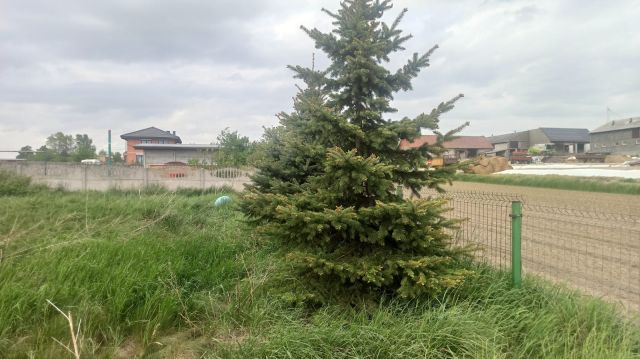 Działka budowlana Nowe Kamienice. Zdjęcie 1