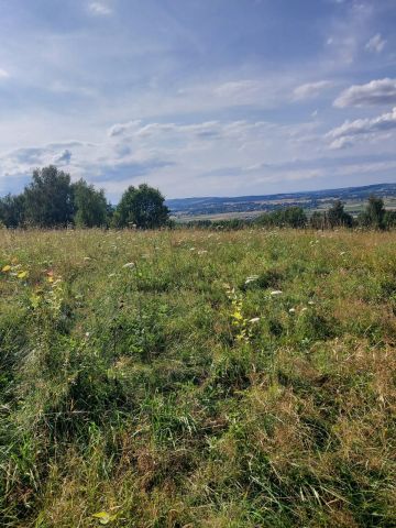Działka rekreacyjna Jaroszówka. Zdjęcie 6