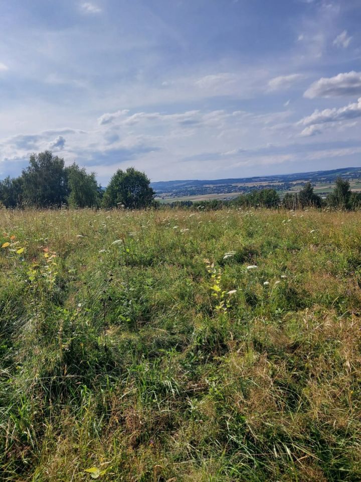 Działka rekreacyjna Jaroszówka. Zdjęcie 6