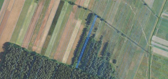 Działka rolna Dzwola. Zdjęcie 1