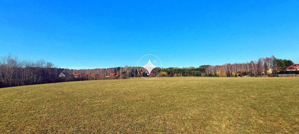 Działka rolna Marcinkowo. Zdjęcie 5