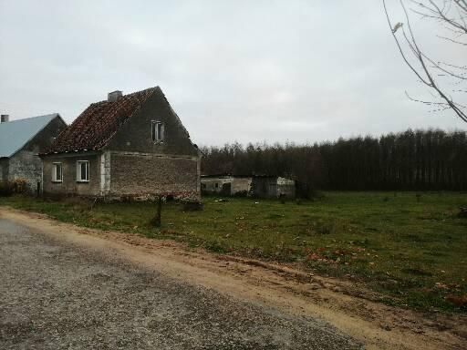 gospodarstwo, 4 pokoje Skarżyn. Zdjęcie 1