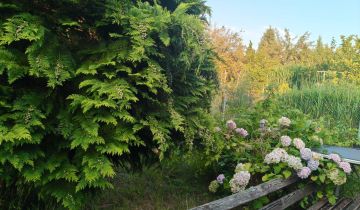 Działka rod Częstochowa Kiedrzyn, ul. św. Brata Alberta