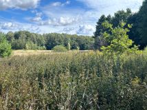 Działka budowlana Leśniewo. Zdjęcie 1