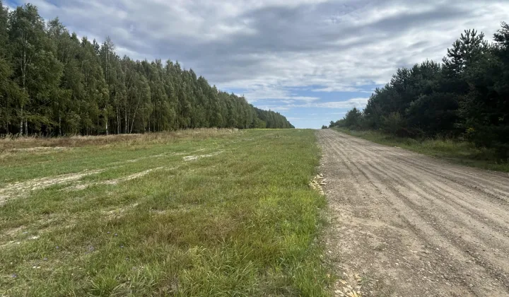 Działka budowlana Biskupice Nowe Biskupice, ul. Żarecka