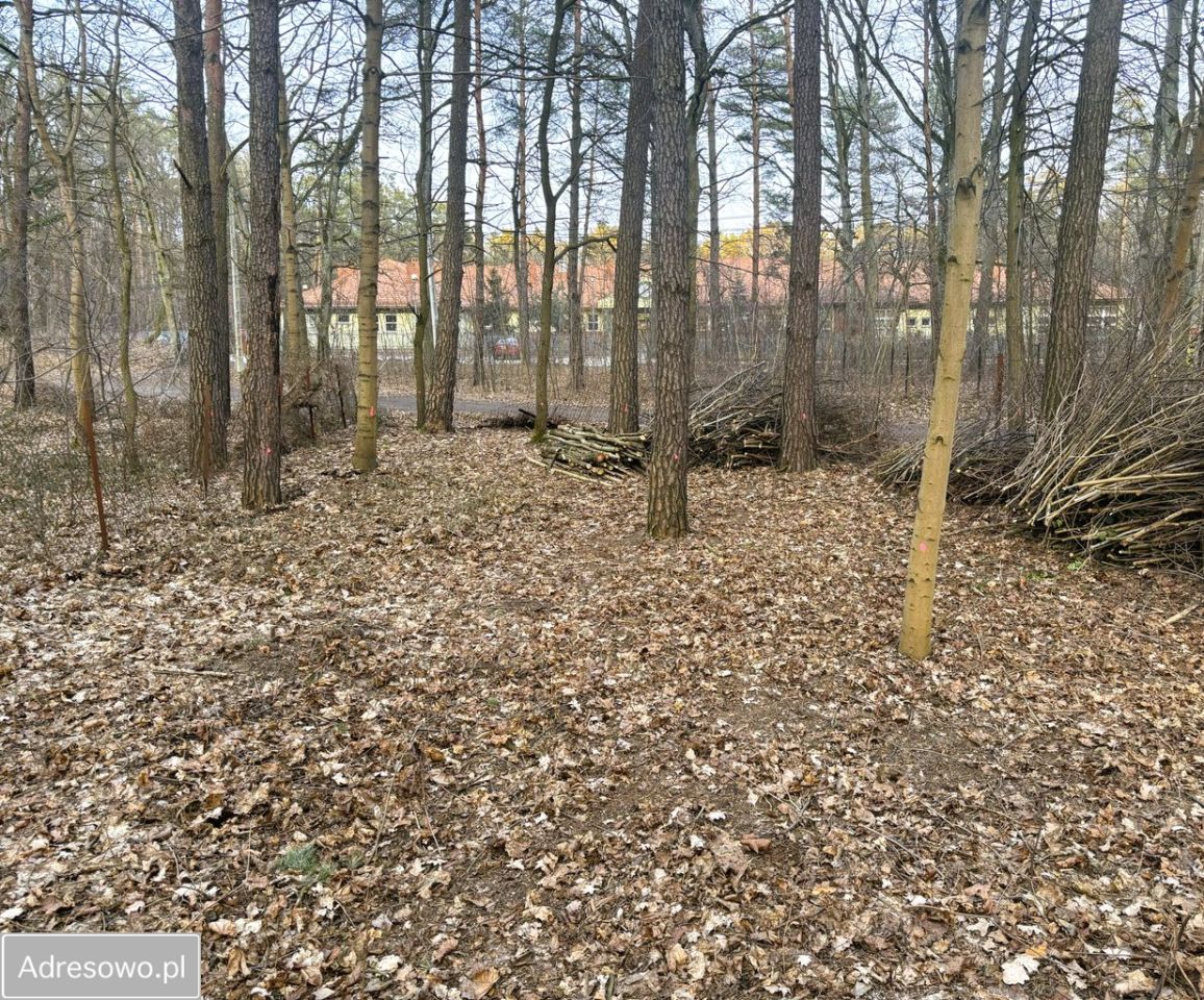 Działka budowlana Zalesie Górne, ul. Wiekowej Sosny. Zdjęcie 6