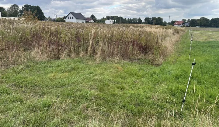 Działka budowlana Orzesze Zawiść, ul. Storczyków