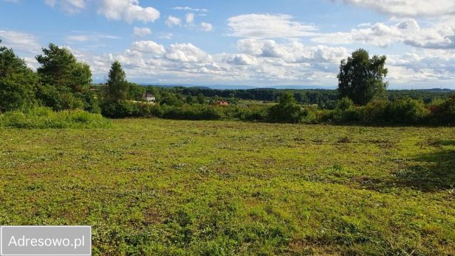 Działka rolno-budowlana Trzebinia Góry Luszowskie. Zdjęcie 1