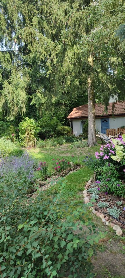 dom letniskowy Tartak Brzózki. Zdjęcie 4