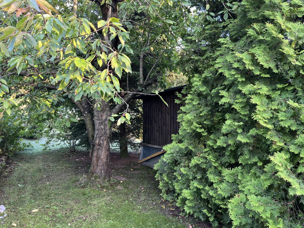 Działka rod Działdowo Kolgartowo, ul. Olsztyńska. Zdjęcie 8