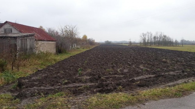 Działka rolno-budowlana Siennica. Zdjęcie 1