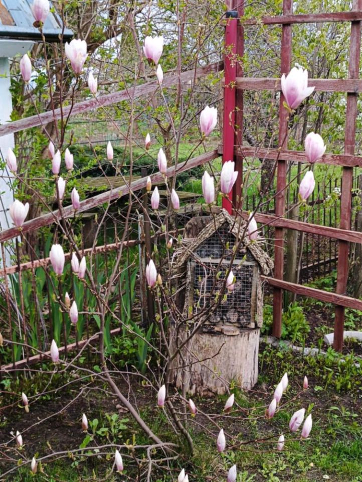 Działka rod Suwałki Centrum, ul. Lotnicza. Zdjęcie 8