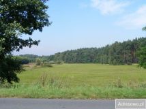 Działka rolna Sośnie. Zdjęcie 2