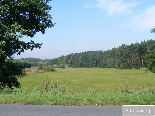 Działka rolna Sośnie. Zdjęcie 3