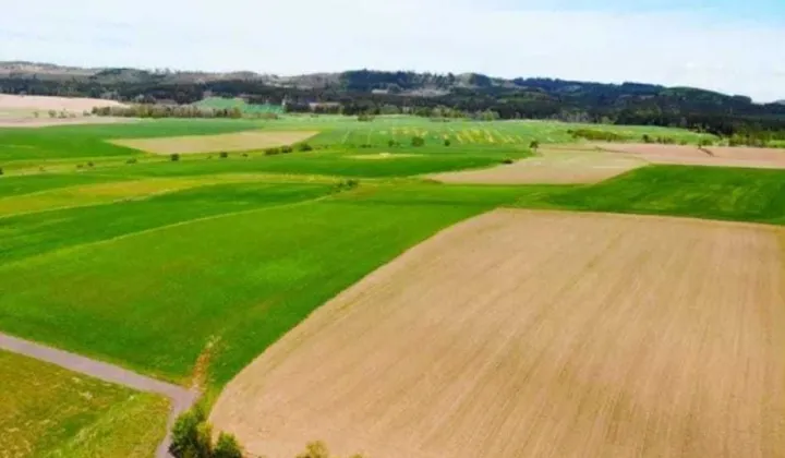 Działka budowlana Krzeszów