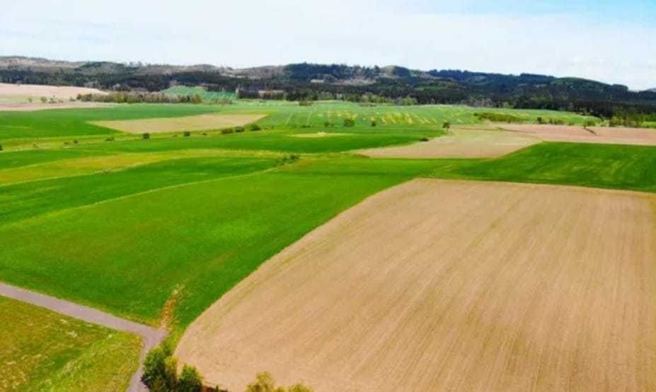 Działka budowlana Krzeszów. Zdjęcie 1