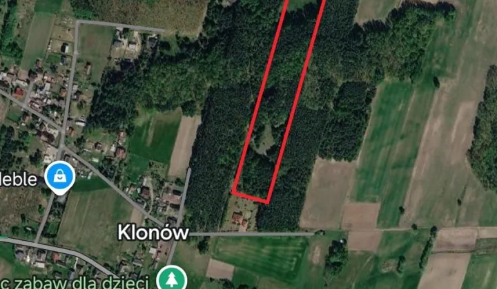 Działka leśna Klonów