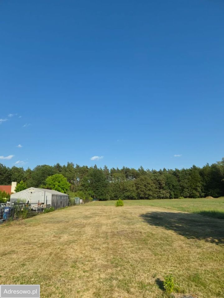 Działka rolno-budowlana Bojszowy, ul. Szyszkowa. Zdjęcie 6