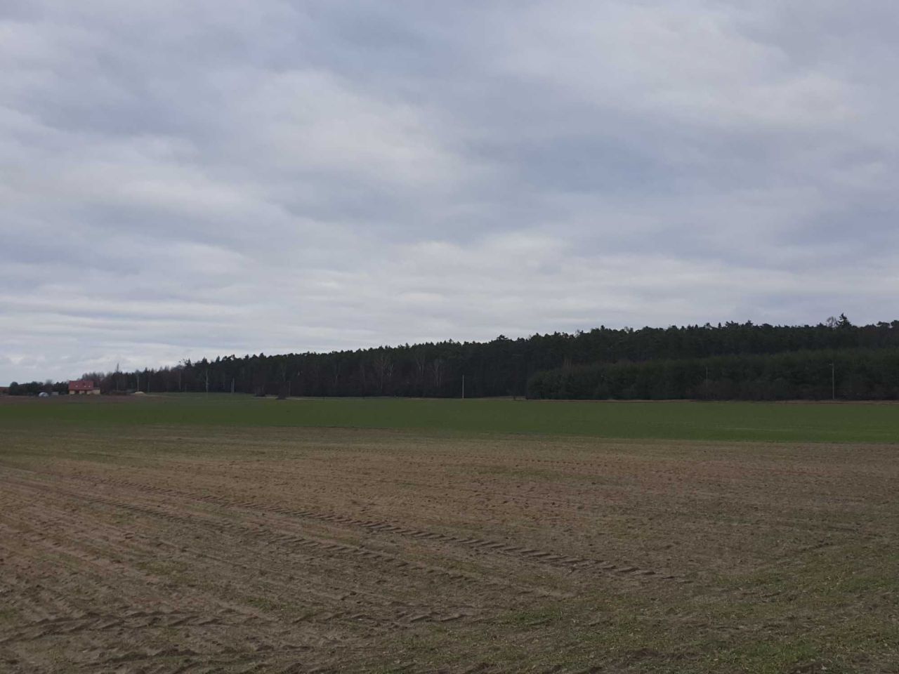 Działka budowlana Ostrowina. Zdjęcie 3