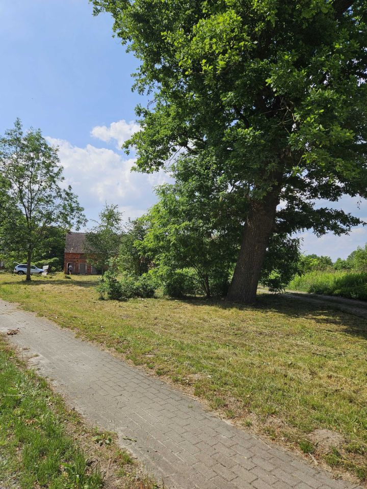 Nieruchomość komercyjna Posadowice. Zdjęcie 5