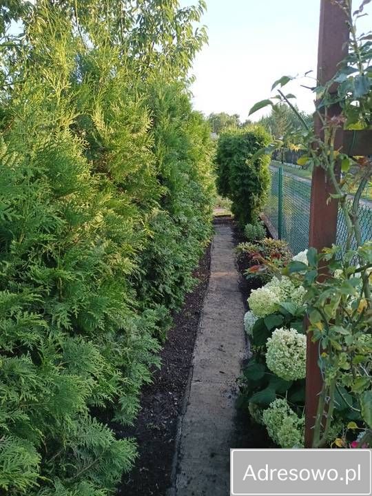 Działka rod Grudziądz Tuszewo, ul. Ludwika Waryńskiego. Zdjęcie 3