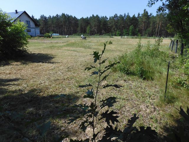 Działka budowlana Tereszpol-Zaorenda, ul. Kolejowa. Zdjęcie 1