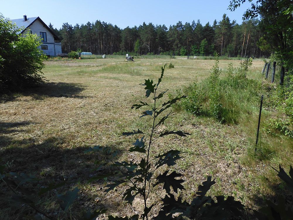 Działka budowlana Tereszpol-Zaorenda, ul. Kolejowa