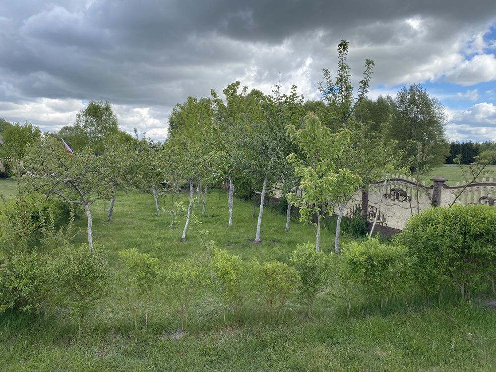 dom wolnostojący Jaźwiny. Zdjęcie 6