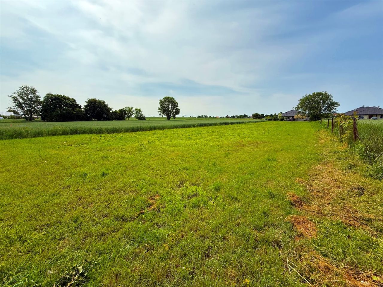 Działka budowlana Franciszków. Zdjęcie 6
