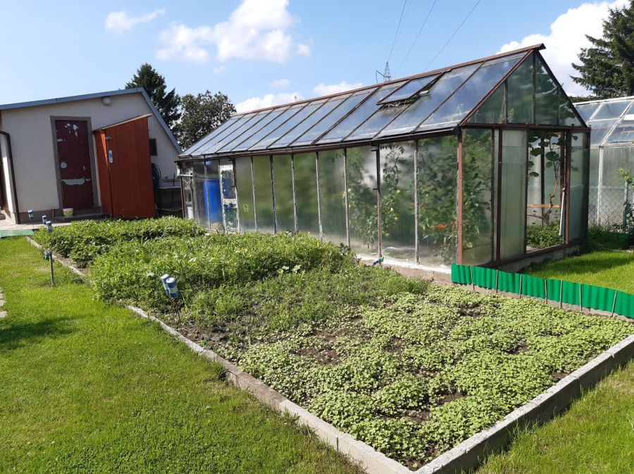 Działka rod Gdynia Oksywie, ul. Zielona. Zdjęcie 18