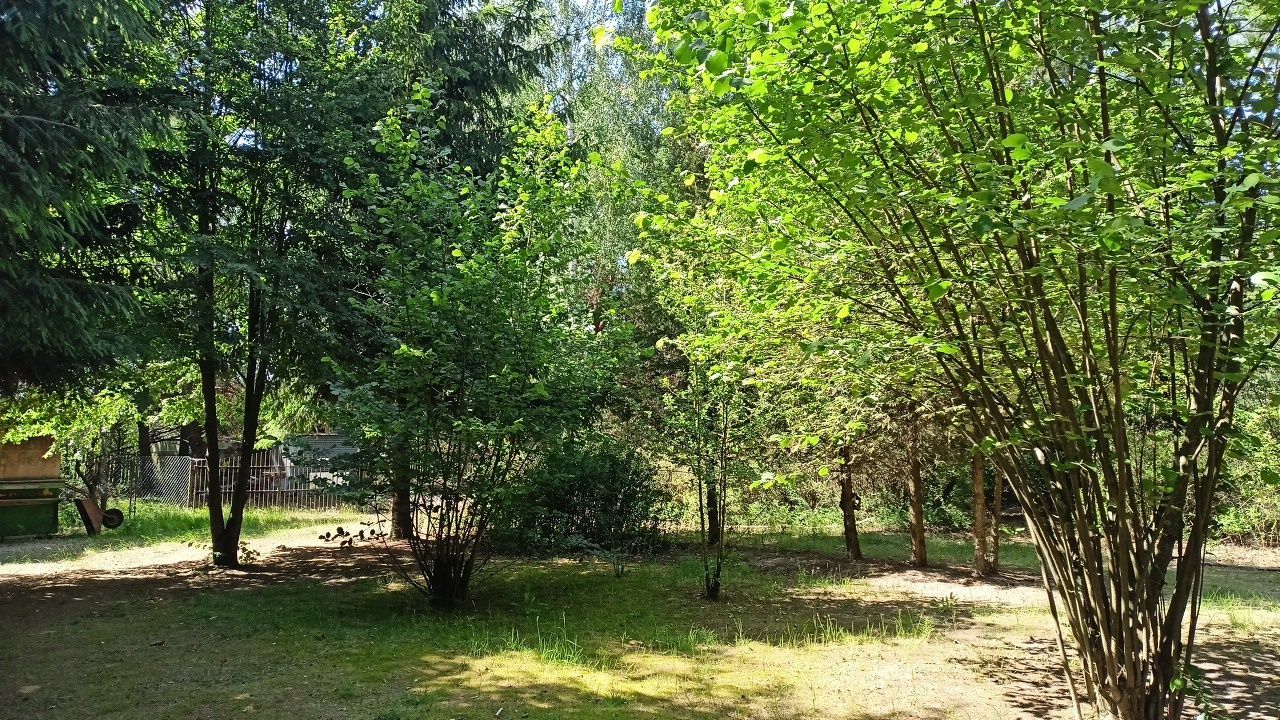 Działka budowlana Izbiszcze