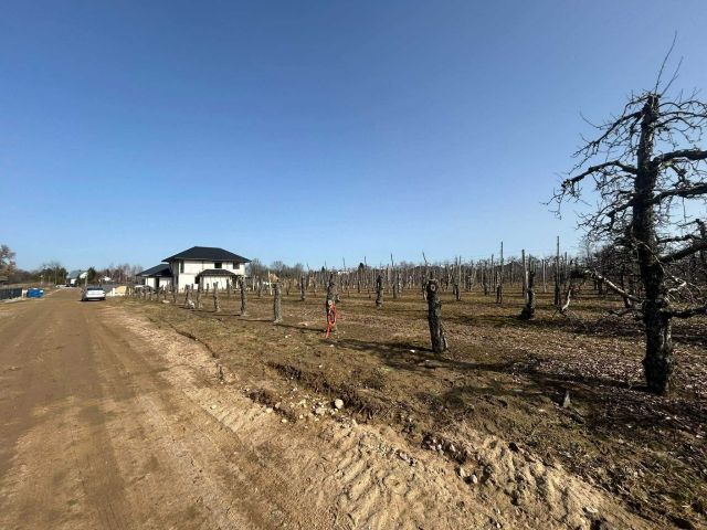 Działka budowlana Stok Lacki. Zdjęcie 1