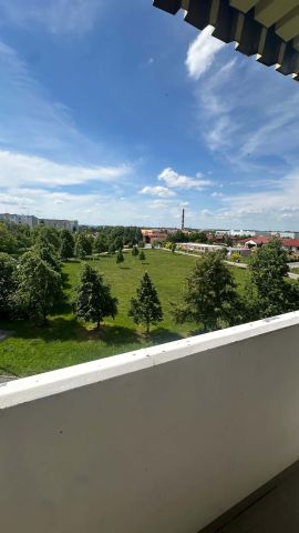 Mieszkanie 3-pokojowe Świdnica, ul. Władysława Łokietka. Zdjęcie 1