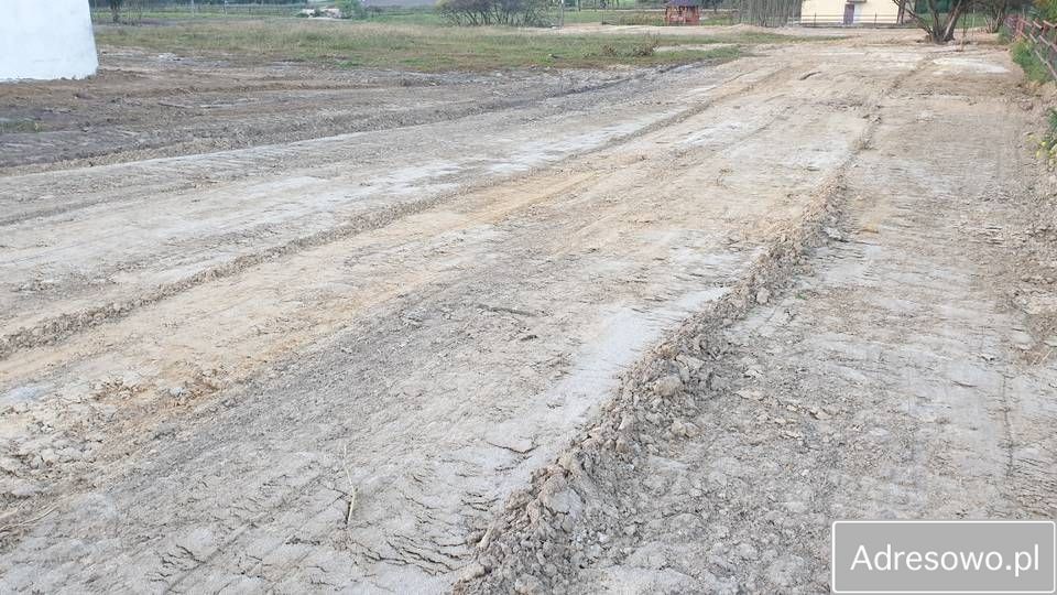 Działka rolna Wola Trębska. Zdjęcie 10