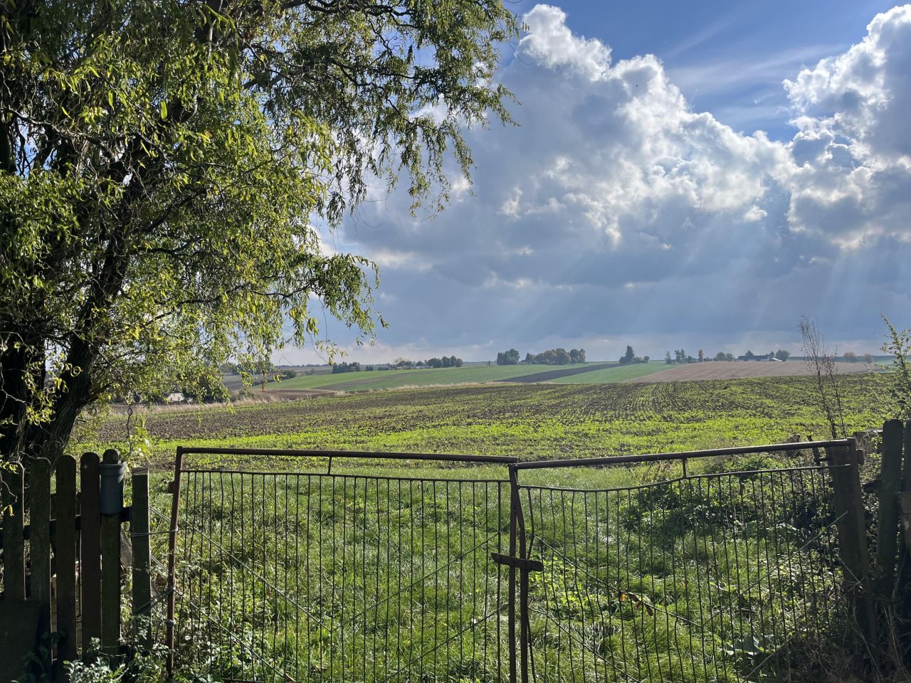siedlisko, 2 pokoje Horoszczyce. Zdjęcie 5
