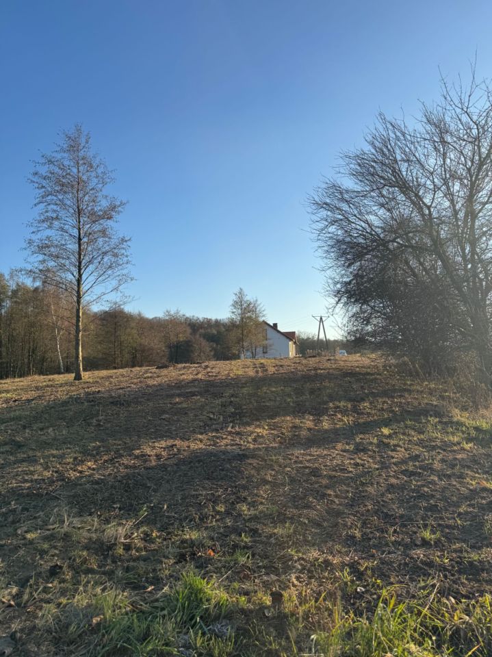 Działka siedliskowa Malczów. Zdjęcie 6