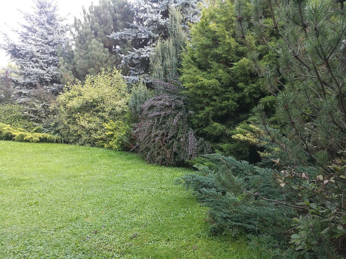 Działka budowlana Lipinki. Zdjęcie 8