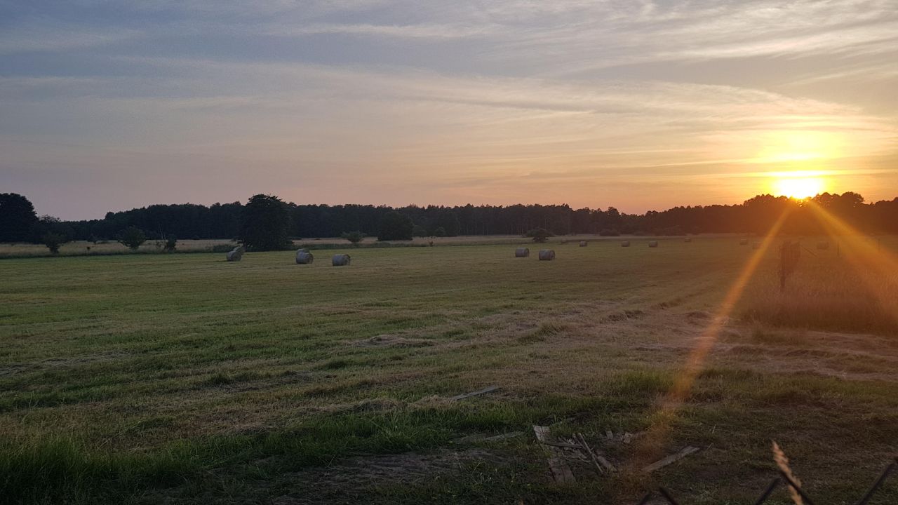 Działka budowlana Sarbsk, Sarbsk. Zdjęcie 8