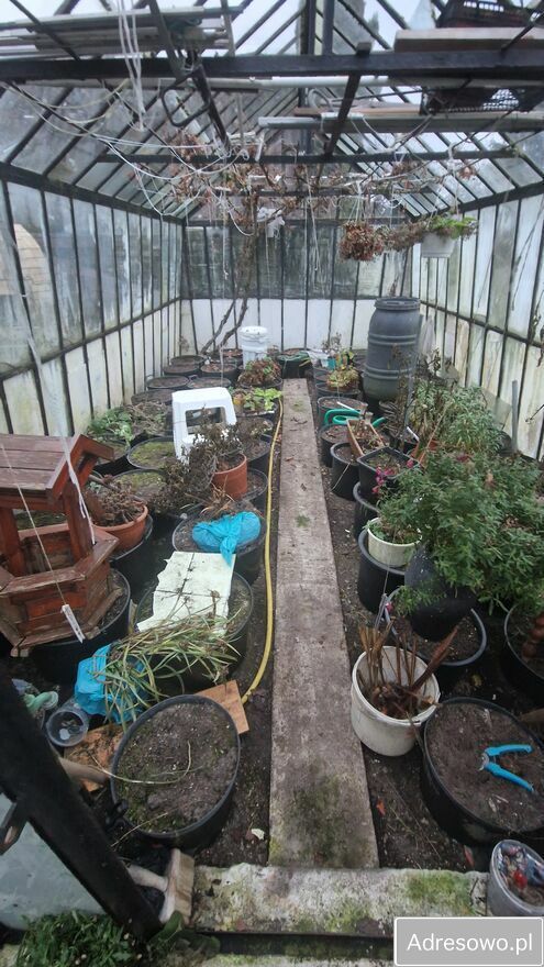 Działka rod Giżycko, ul. Kilińskiego. Zdjęcie 3