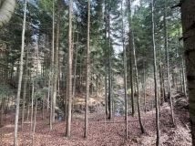 Działka budowlana Pewel Wielka. Zdjęcie 1