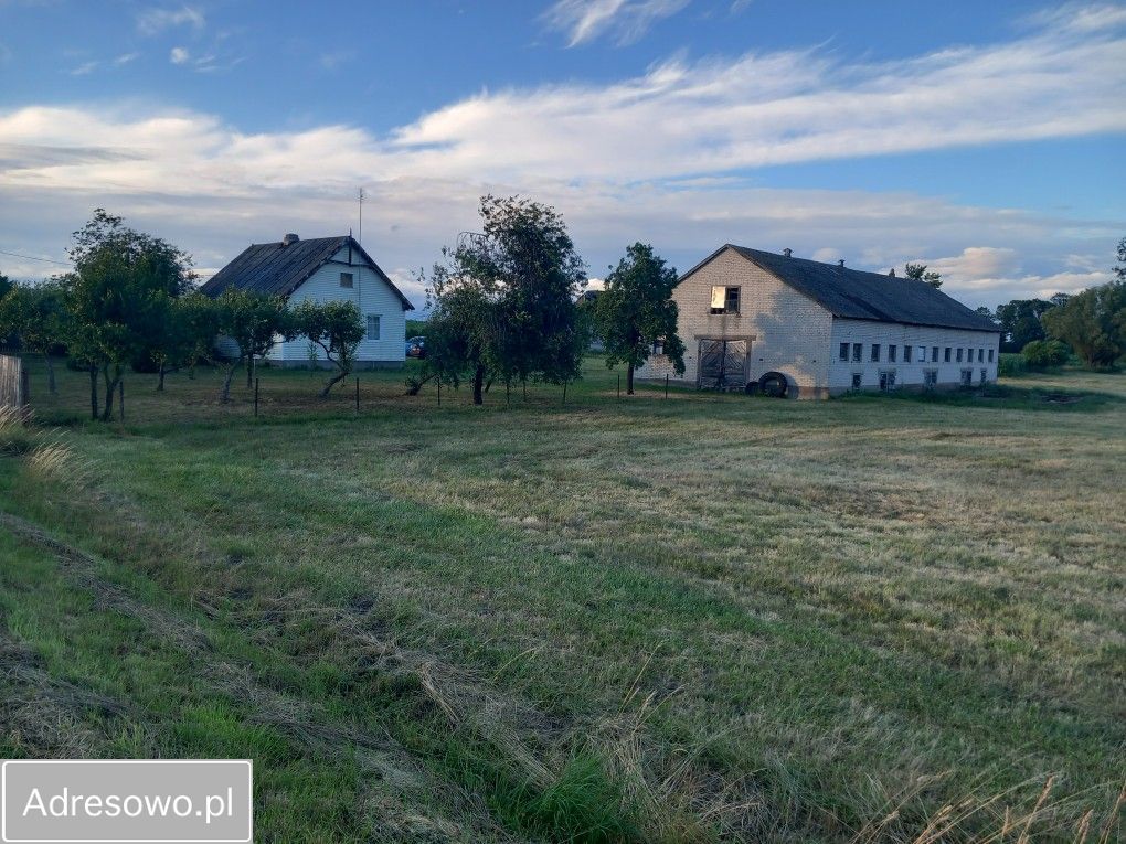 Działka siedliskowa Mianowo. Zdjęcie 2