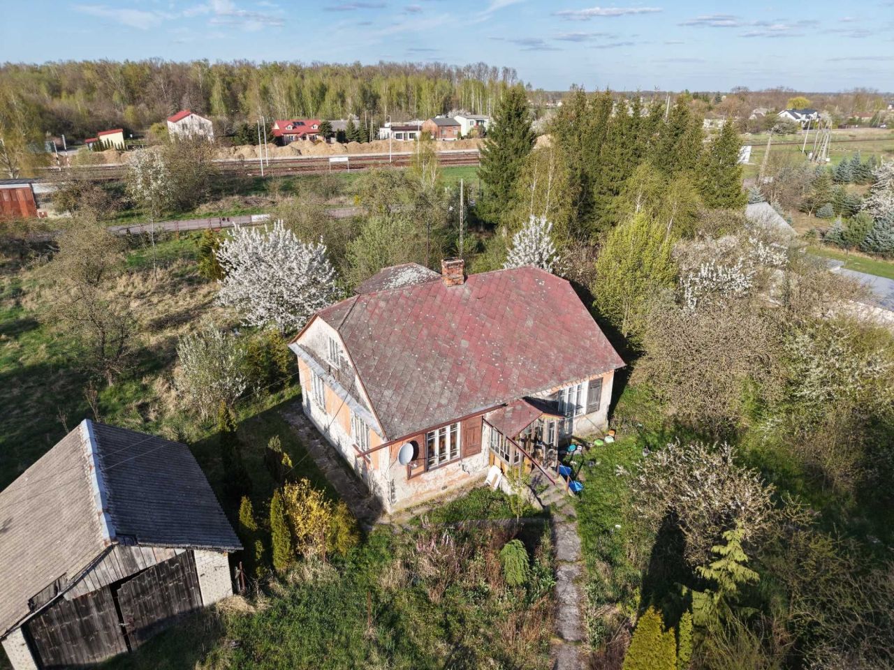 Działka rolno-budowlana Bedlno Radzyńskie. Zdjęcie 1