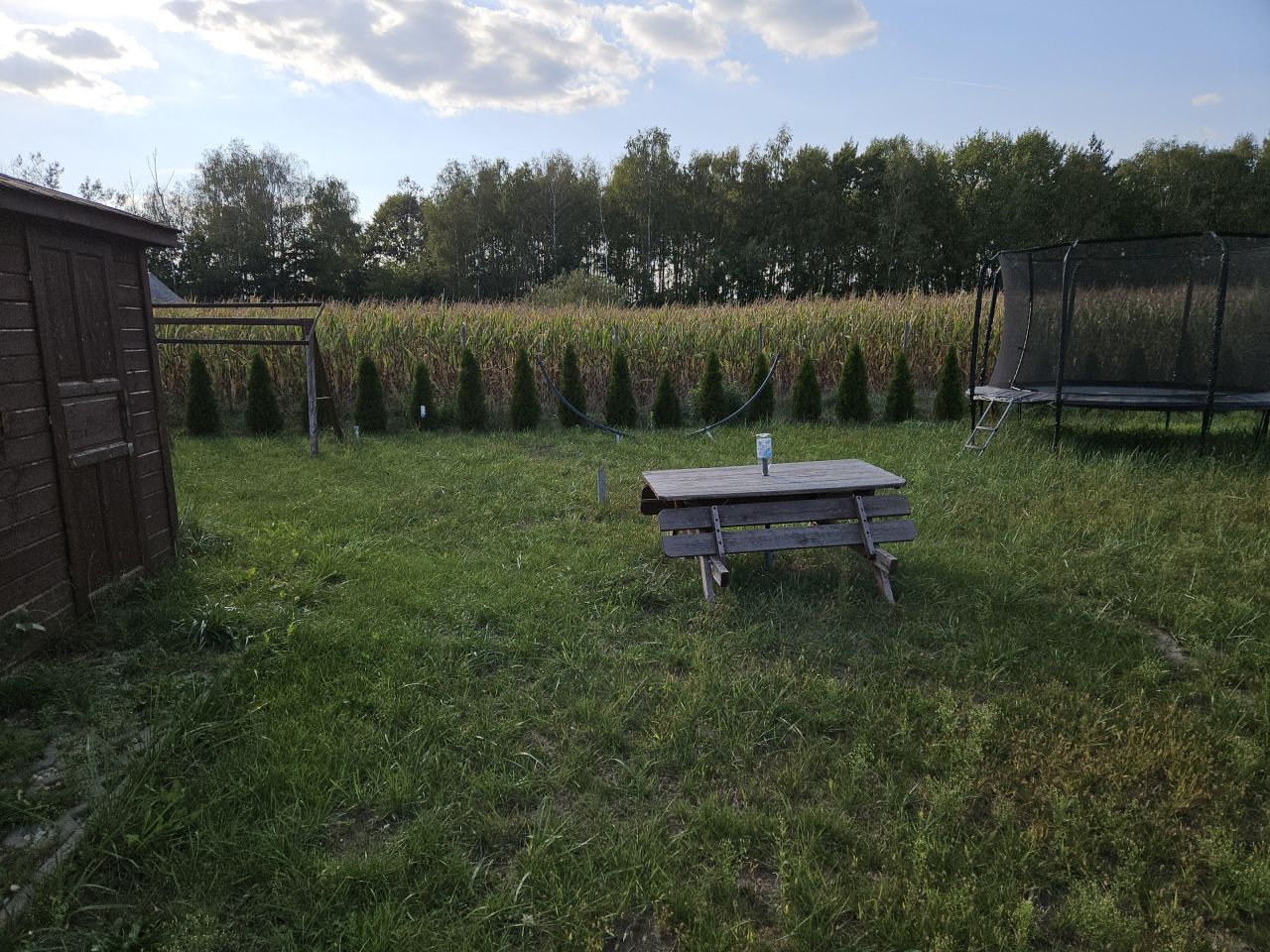 Działka rolno-budowlana Rawiczów. Zdjęcie 8