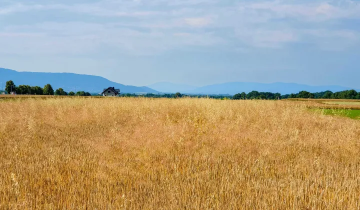 Działka budowlana Wilamowice