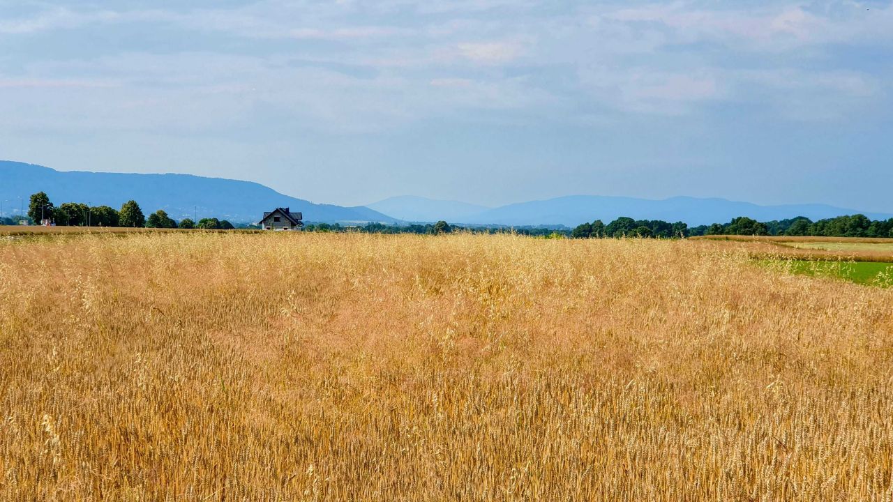 Działka budowlana Wilamowice