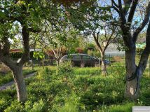 Działka rod Gdańsk. Zdjęcie 3