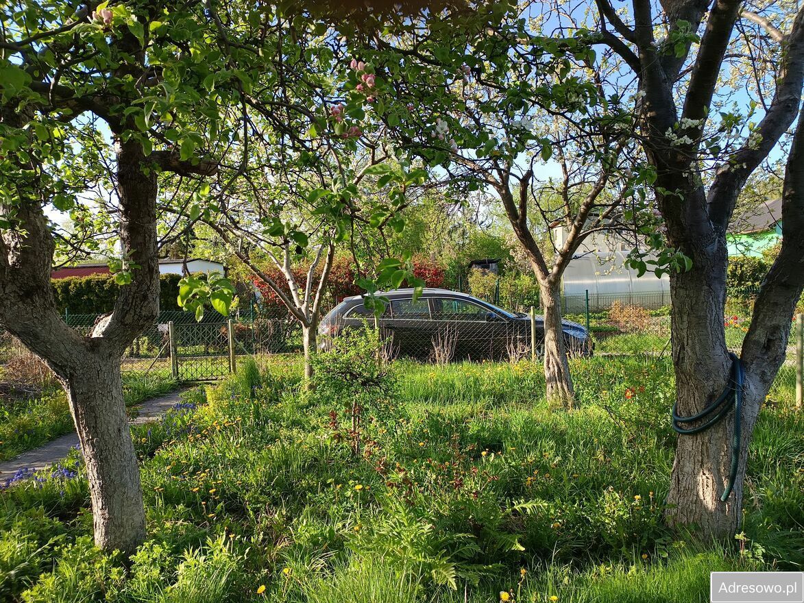 Działka rod Gdańsk. Zdjęcie 4