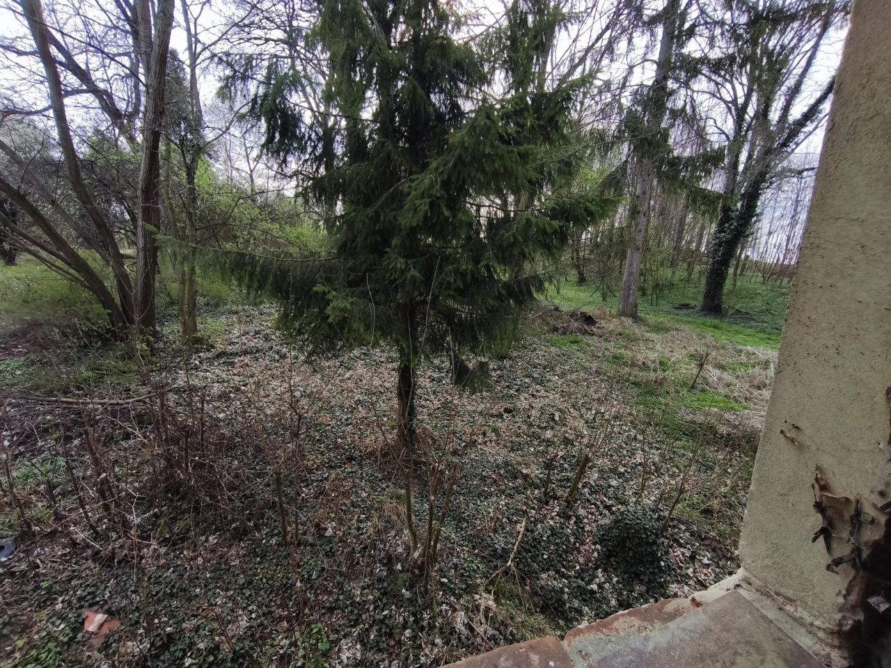 Działka rolno-budowlana Białowieża Siodłary. Zdjęcie 15