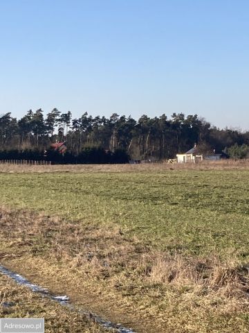 Działka rolna Brzezina, ul. Wieczysta. Zdjęcie 1