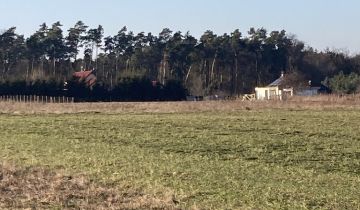 Działka rolna Brzezina, ul. Wieczysta